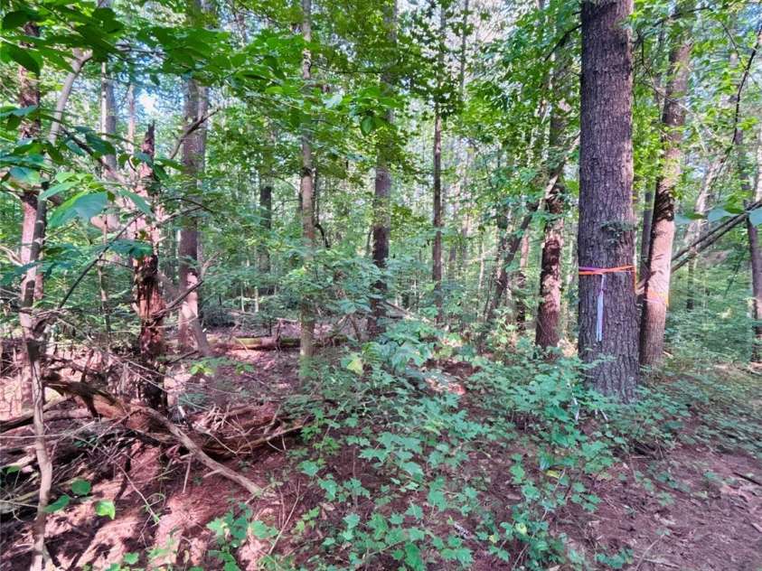 7865 Long Bay Parkway, Catawba, NC 28609.  MLS# CAR4424490, YatesRealty ID 51224. 