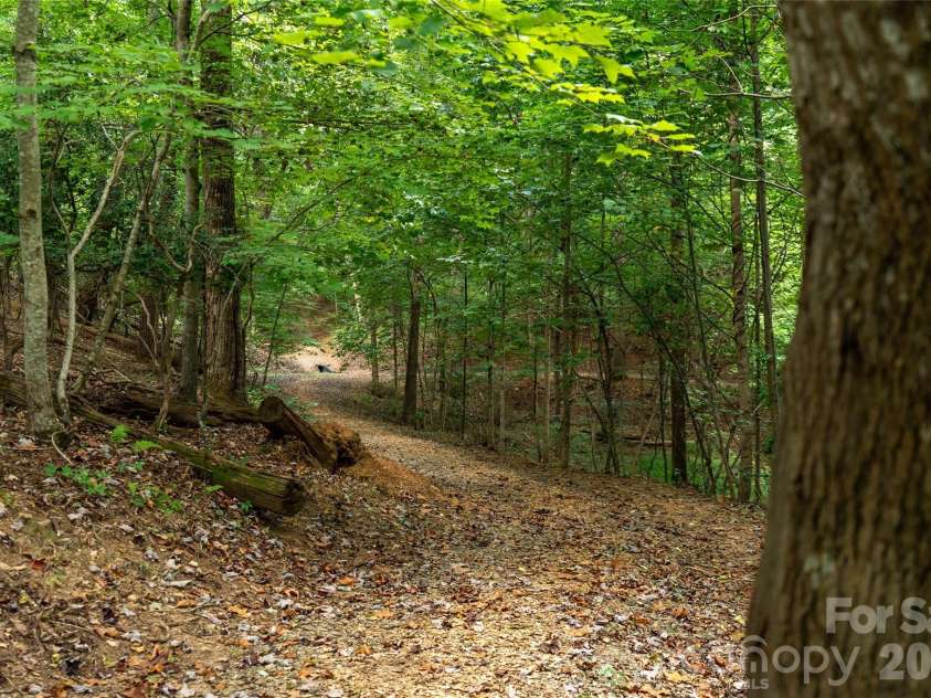 16 Holmes Lane, Arden, NC 28704.  MLS# CAR4424717, YatesRealty ID 51237. 
