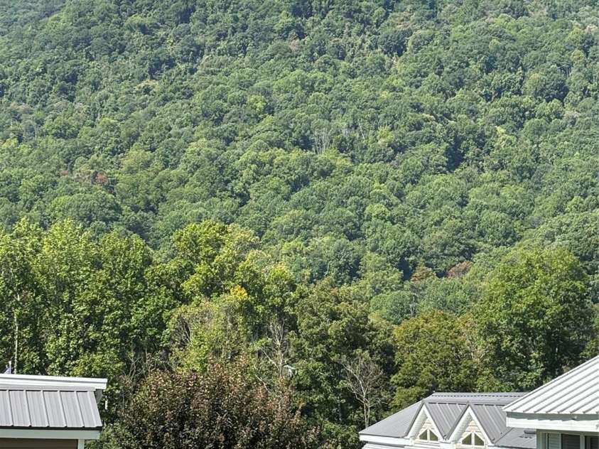 27 Levi Drive, Maggie Valley, NC 28751.  MLS# CAR4425925, YatesRealty ID 51419. 