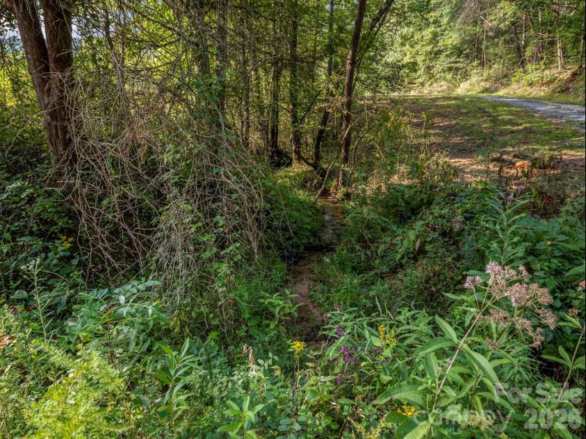 184 Crawford Hollow, Rutherfordton, NC 28139.  MLS# CAR4424597, YatesRealty ID 51486. Creek