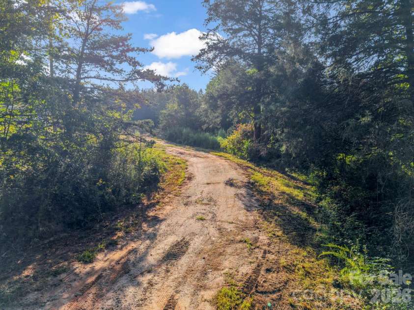 184 Crawford Hollow, Rutherfordton, NC 28139.  MLS# CAR4424597, YatesRealty ID 51486. Drive Leading into Home.  Previously Paved.