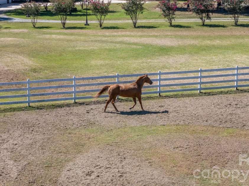 1517 Helms Short Cut Road, Monroe, NC 28112.  MLS# CAR4424290, YatesRealty ID 51519. Cross fenced pasture