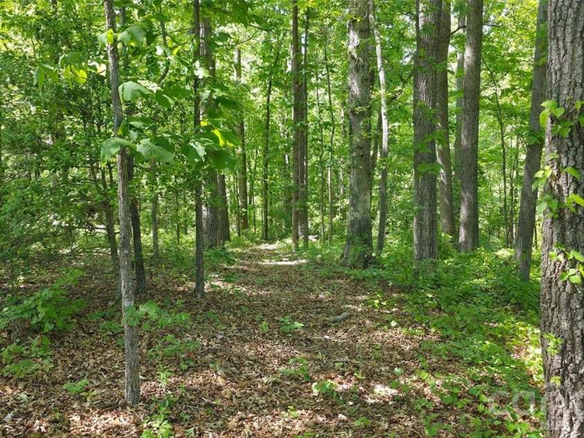 1732 Paul Payne Store Road, Taylorsville, NC 28681.  MLS# CAR4425907, YatesRealty ID 51541. Interior Walking Trail View