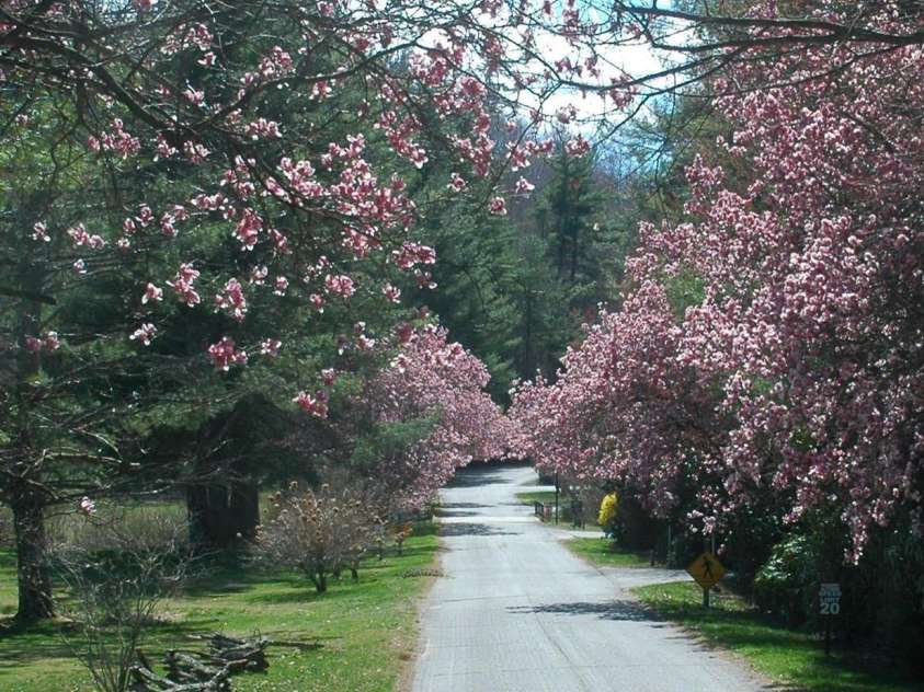 585 Nottingham Road, Brevard, NC 28712.  MLS# CAR4207707, YatesRealty ID 516. Robin Hood