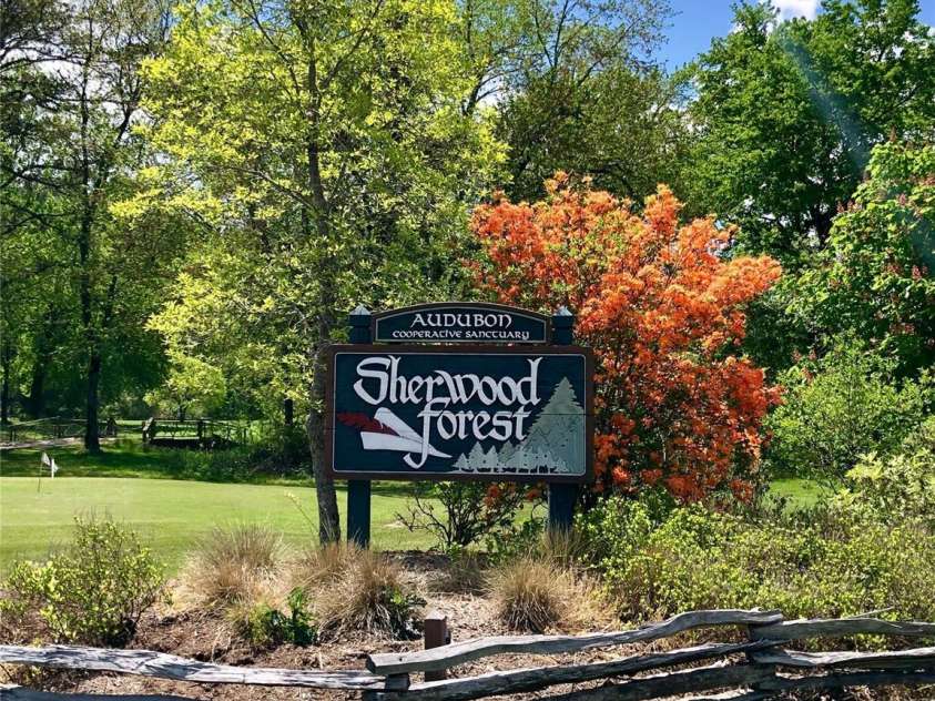 585 Nottingham Road, Brevard, NC 28712.  MLS# CAR4207707, YatesRealty ID 516. Sherwood Forest entry