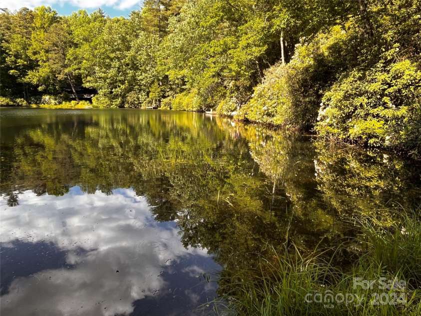 585 Nottingham Road, Brevard, NC 28712.  MLS# CAR4207707, YatesRealty ID 516. Trout Lake