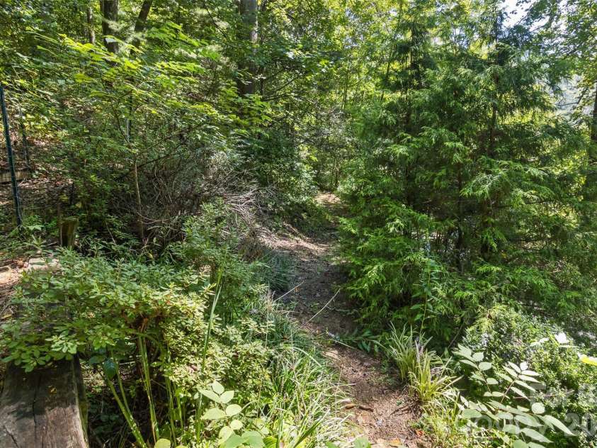 13 Cattail Drive, Sylva, NC 28779.  MLS# CAR4423552, YatesRealty ID 51604. Lush forest, and trails on your 1.36 acres!
