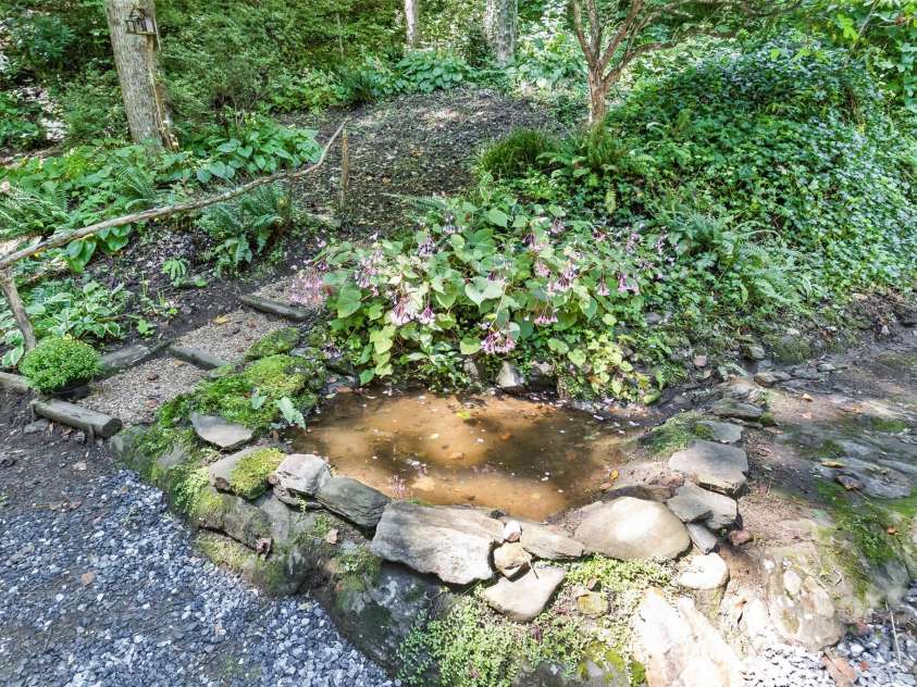 13 Cattail Drive, Sylva, NC 28779.  MLS# CAR4423552, YatesRealty ID 51604. Small stream fed pond, perfect for goldfish...
