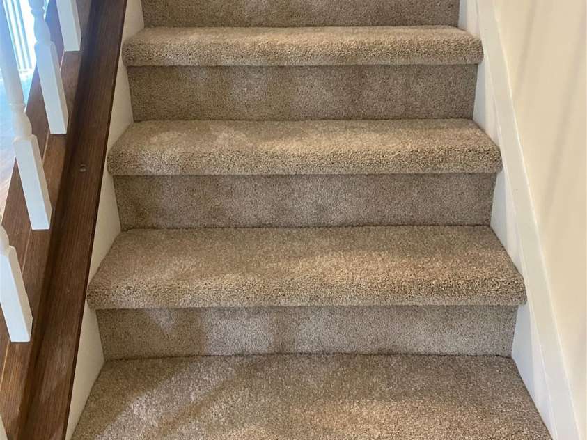 11101 Deerpath Court, Charlotte, NC 28262.  MLS# CAR4420188, YatesRealty ID 51623. New Carpet