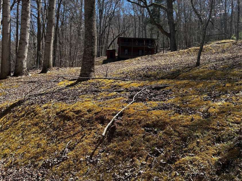 84 Greentree Lane, Canton, NC 28716.  MLS# CAR4239950, YatesRealty ID 5184. Larger back yard. 2 Lots that total 1.34 acres