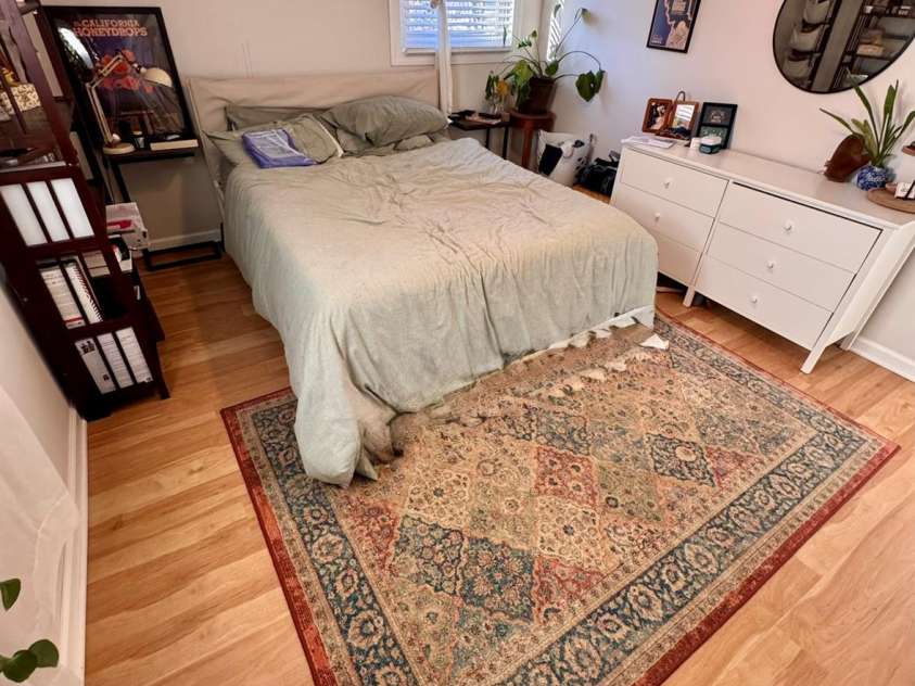 1217 Allen Street, Charlotte, NC 28205.  MLS# CAR4348952, YatesRealty ID 5185. 