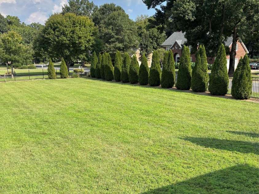 1001 DownPatrick Lane, Concord, NC 28027.  MLS# CAR4420811, YatesRealty ID 52042. 