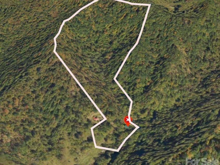 278 Kelses Valley Drive, Mars Hill, NC 28754.  MLS# CAR4417135, YatesRealty ID 52088. Roughly 38 acre recombination of separate parcels