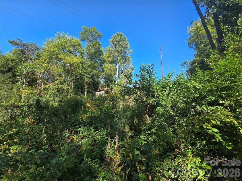 175 River Lane, Canton, NC 28716.  MLS# CAR4426723, YatesRealty ID 52131. 