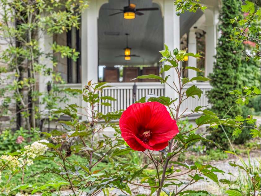 322 Killarney Street, Hendersonville, NC 28792.  MLS# CAR4228615, YatesRealty ID 5226. Endless flora!