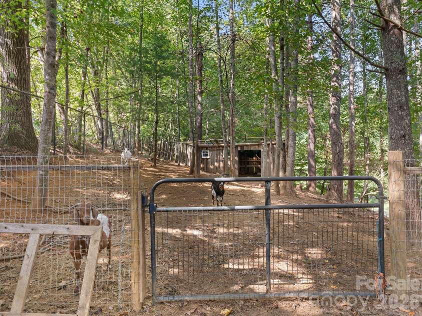 20 Sharpes Cove Road, Leicester, NC 28748.  MLS# CAR4426724, YatesRealty ID 52281. 