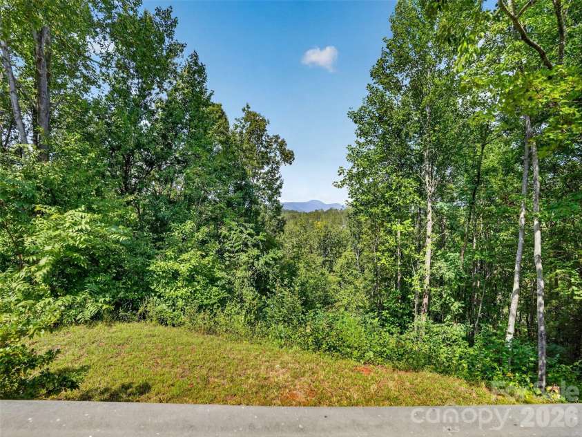 484 Briar Patch Lane, Saluda, NC 28773.  MLS# CAR4426728, YatesRealty ID 52289. 