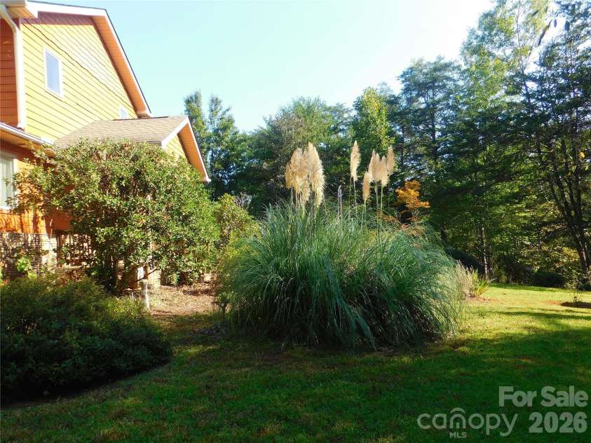 296 Acorn Lane, Rutherfordton, NC 28139.  MLS# CAR4427187, YatesRealty ID 52307. Pampas grass