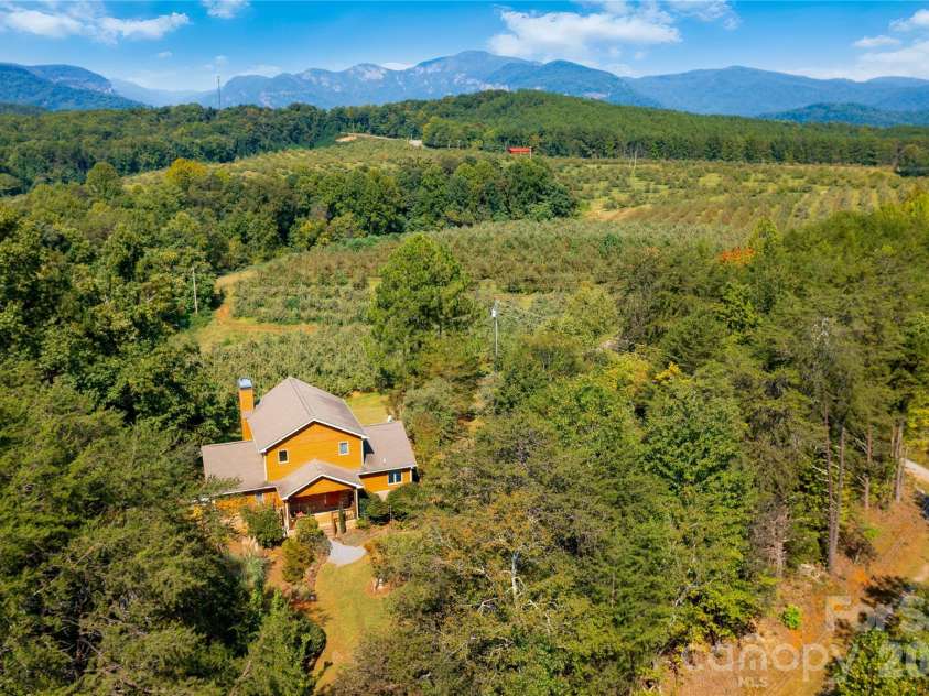 296 Acorn Lane, Rutherfordton, NC 28139.  MLS# CAR4427187, YatesRealty ID 52307. Surrounded by trees