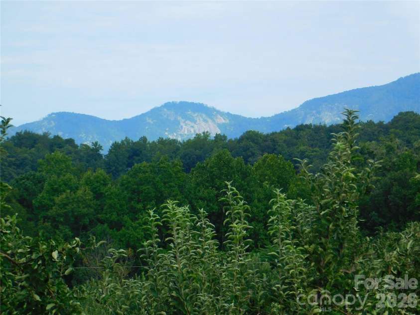 296 Acorn Lane, Rutherfordton, NC 28139.  MLS# CAR4427187, YatesRealty ID 52307. Views from back yard and house