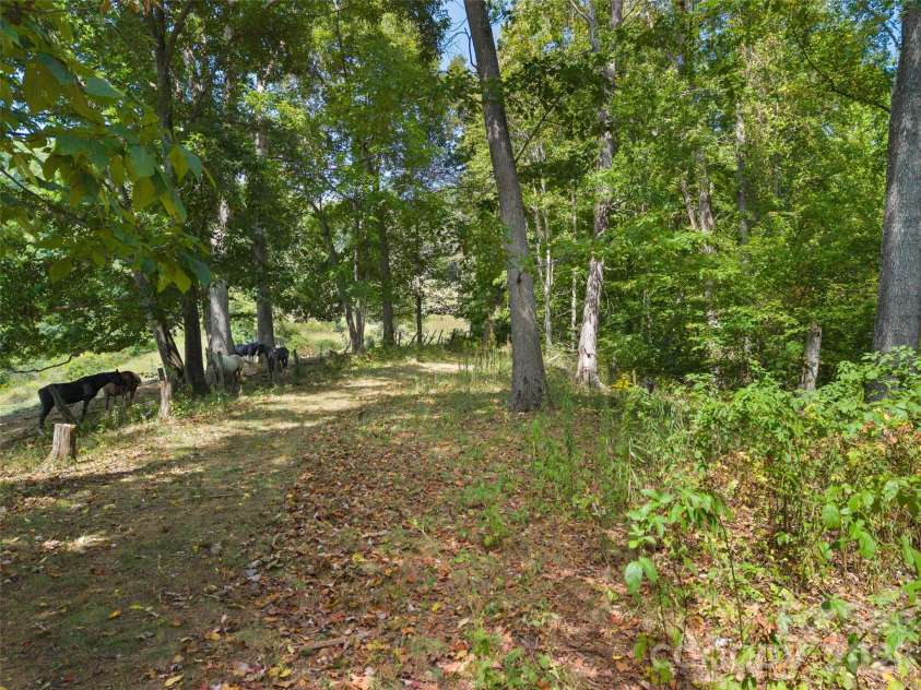 641 Scruggs Circle, Canton, NC 28716.  MLS# CAR4427265, YatesRealty ID 52320. 