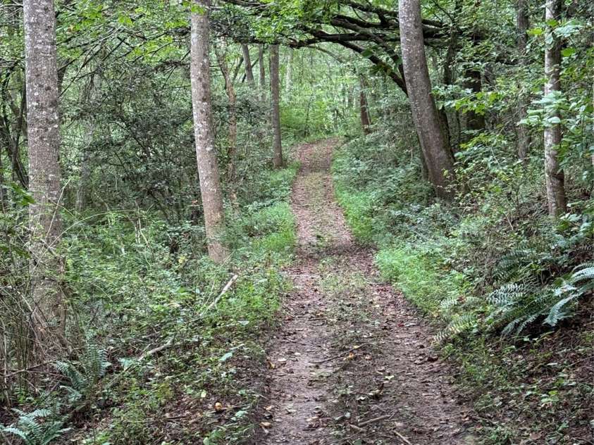 411 Cabin Cove Lane, Moravian Falls, NC 28654.  MLS# CAR4427462, YatesRealty ID 52415. 