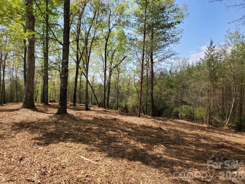 00 Wambli Pass, Lake Lure, NC 28746.  MLS# CAR4425752, YatesRealty ID 52416. 