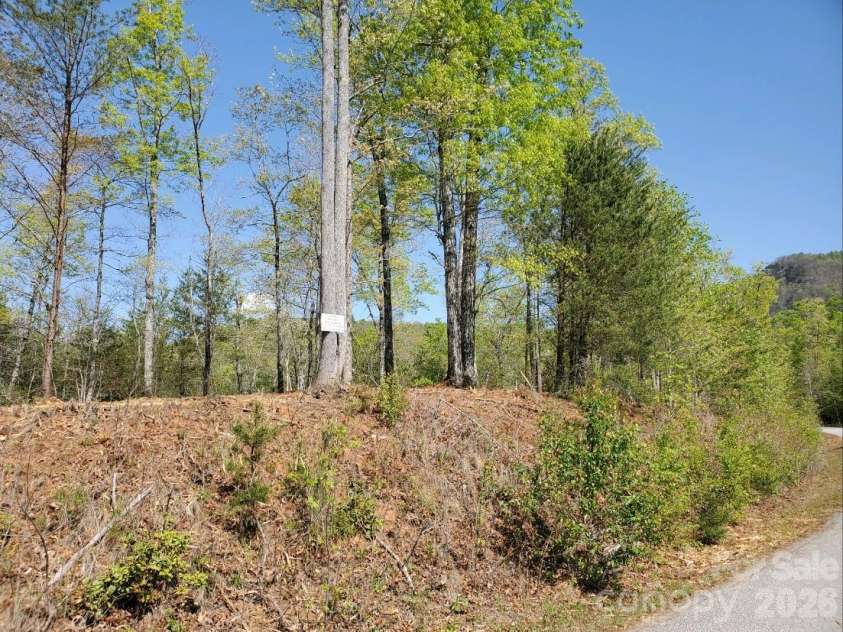 00 Wambli Pass, Lake Lure, NC 28746.  MLS# CAR4425752, YatesRealty ID 52416. 