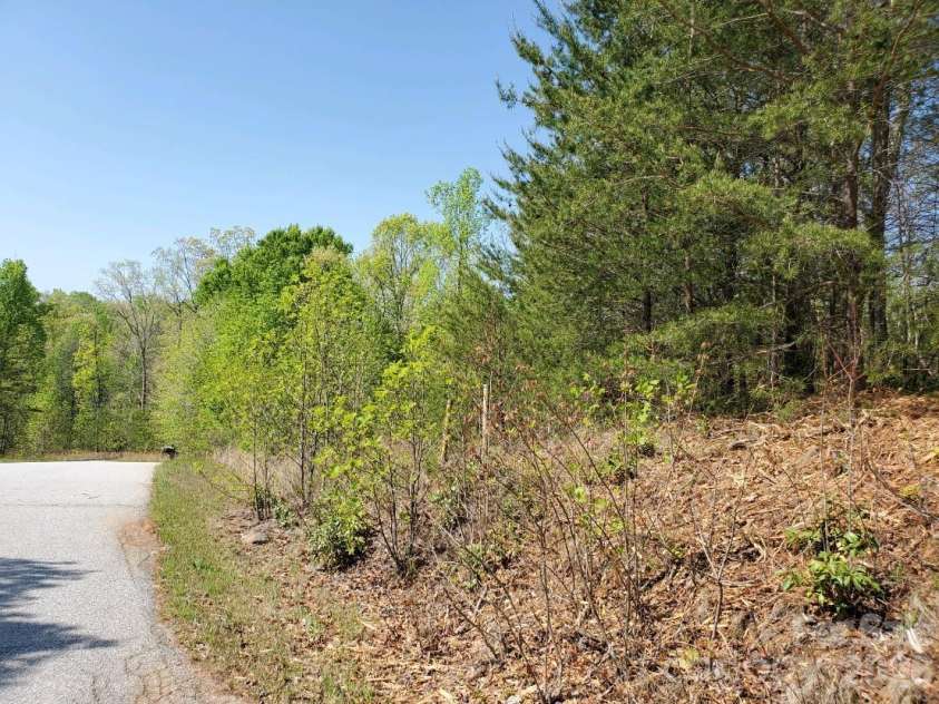 00 Wambli Pass, Lake Lure, NC 28746.  MLS# CAR4425752, YatesRealty ID 52416. 