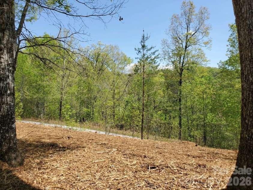 00 Wambli Pass, Lake Lure, NC 28746.  MLS# CAR4425752, YatesRealty ID 52416. ACROSS STREET~~