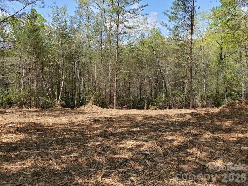 00 Wambli Pass, Lake Lure, NC 28746.  MLS# CAR4425752, YatesRealty ID 52416. LEVEL BUILDING SITE~~