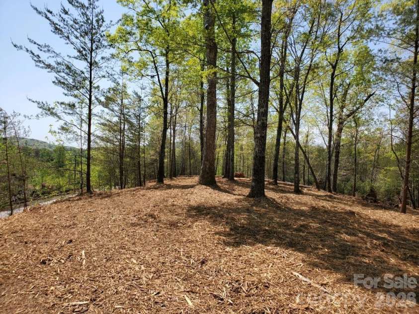 00 Wambli Pass, Lake Lure, NC 28746.  MLS# CAR4425752, YatesRealty ID 52416. LOTS 20 & 21~~