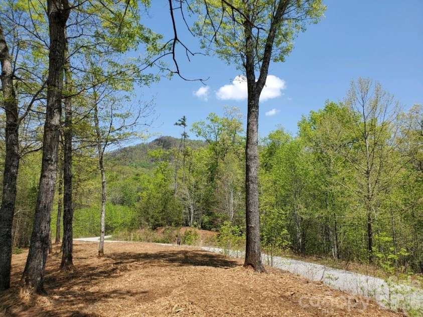 00 Wambli Pass, Lake Lure, NC 28746.  MLS# CAR4425752, YatesRealty ID 52416. MOUNTAIN VIEW FROM LOTS~~