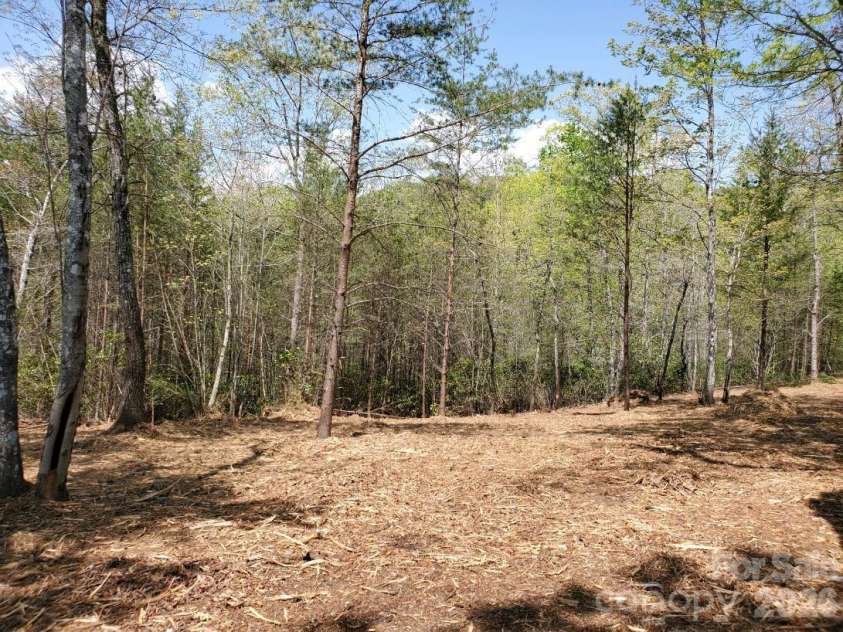 00 Wambli Pass, Lake Lure, NC 28746.  MLS# CAR4425752, YatesRealty ID 52416. WESTERN VIEWS JUST BEYOND TREES~~