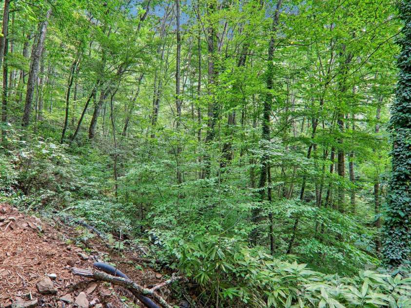 152 Dream Mountain Boulevard, Canton, NC 28716.  MLS# CAR4425103, YatesRealty ID 52494. 