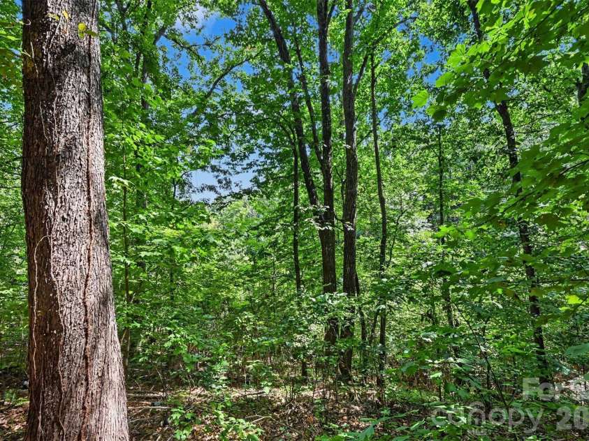 8876 Tallow Tree Road, Connelly Springs, NC 28612.  MLS# CAR4424827, YatesRealty ID 52547. 