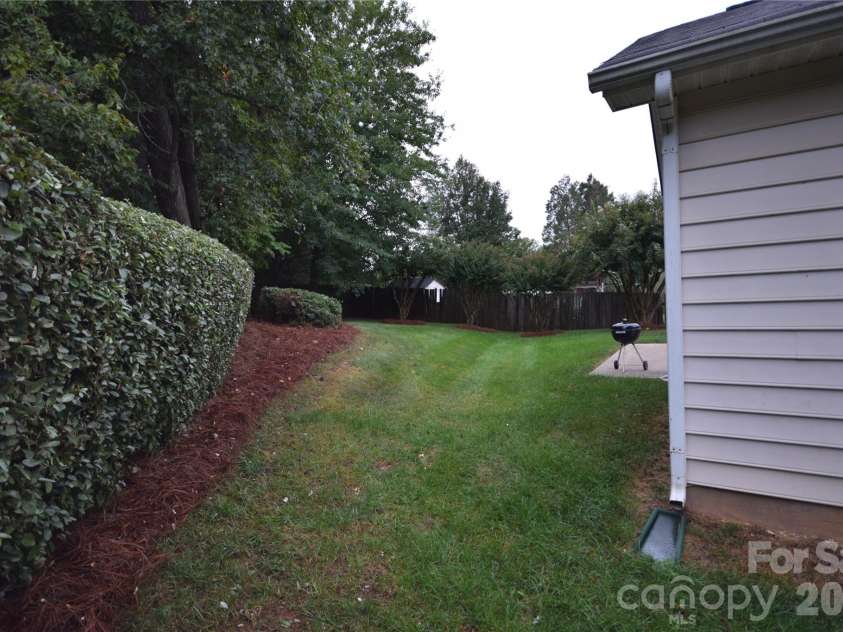 3703 Sipes Lane, Charlotte, NC 28269.  MLS# CAR4427150, YatesRealty ID 52548. Well defined hedge