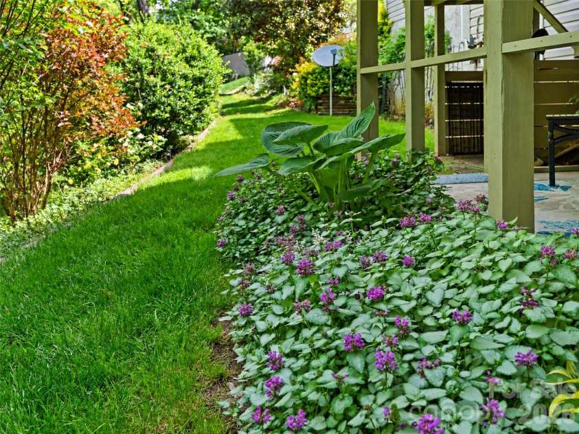 15 Baird Alley, Asheville, NC 28804.  MLS# CAR4426450, YatesRealty ID 52585. 