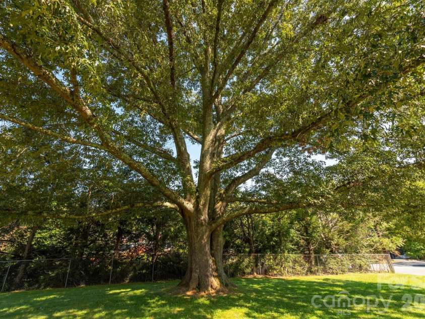 127 College Circle, Swannanoa, NC 28778.  MLS# CAR4427251, YatesRealty ID 52594. Beautiful mature oak trees