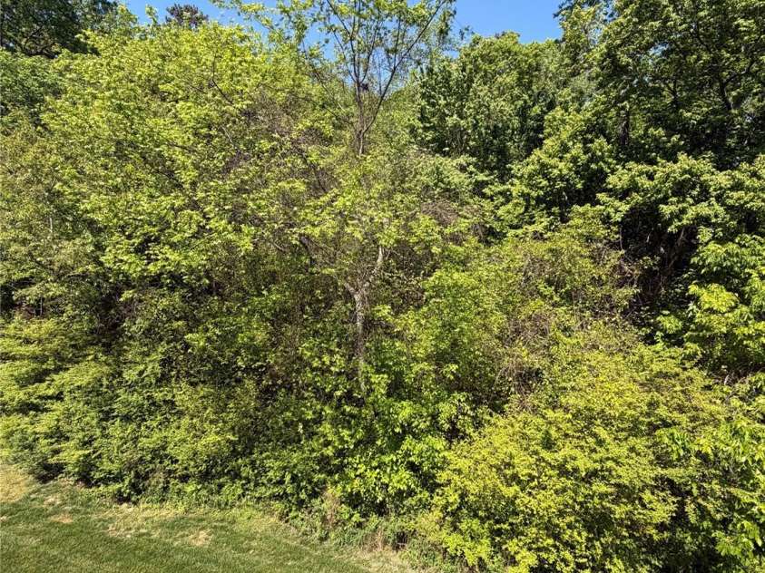 3046 Woodlands Creek Drive, Monroe, NC 28110.  MLS# CAR4366834, YatesRealty ID 52603. Wooded Backyard