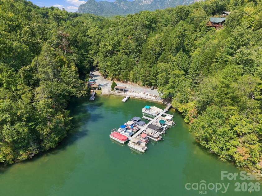 132 Falls View Trail, Lake Lure, NC 28746.  MLS# CAR4424804, YatesRealty ID 52610. Community beach and marina