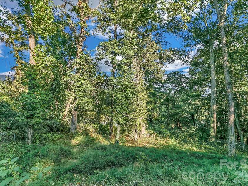 148 Stradley Mountain Road, Asheville, NC 28806.  MLS# CAR4425491, YatesRealty ID 52698. Possible Winter Views