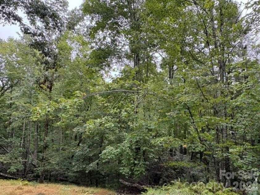 20 Pheasant Run Road, Brevard, NC 28712.  MLS# CAR4428337, YatesRealty ID 52871. 