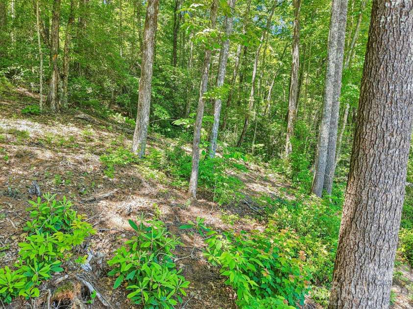 127 Short Road, Cashiers, NC 28717.  MLS# CAR4428452, YatesRealty ID 52896. 