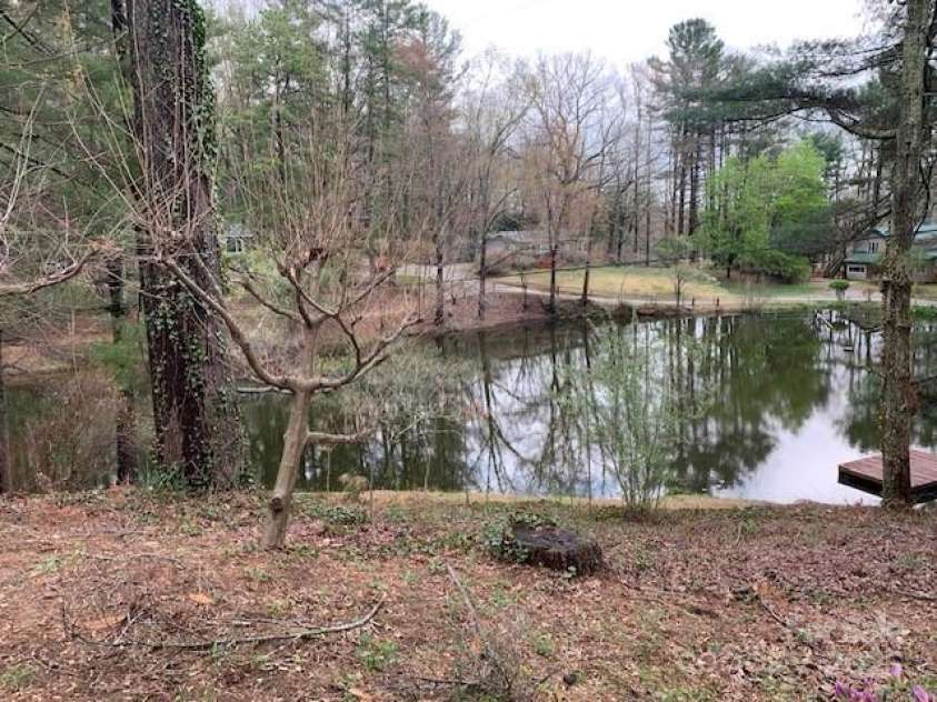 101 LAKEMONT Drive, Flat Rock, NC 28731.  MLS# CAR4246456, YatesRealty ID 53. The Rear yard and view