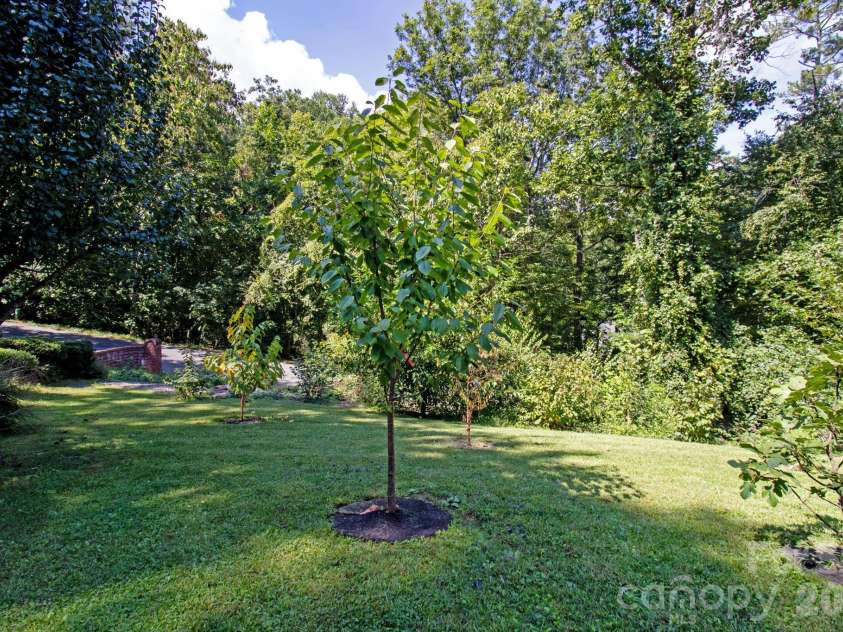 6 Kit Court, Fletcher, NC 28732.  MLS# CAR4421367, YatesRealty ID 53002. Orchard
