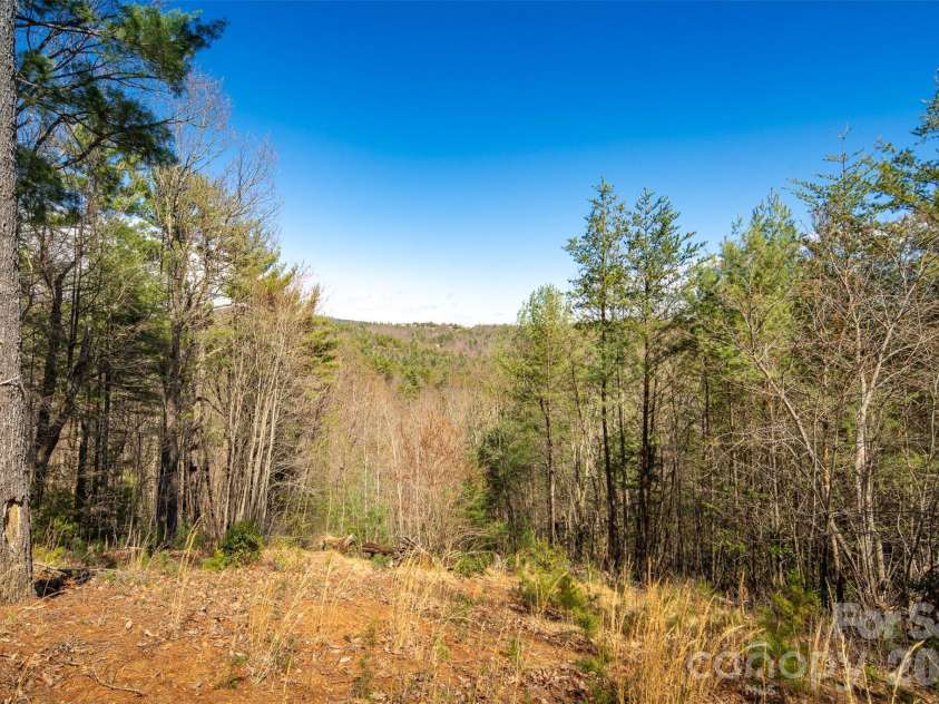 128 Deer Antler Drive, Purlear, NC 28665.  MLS# CAR4360254, YatesRealty ID 5309. 