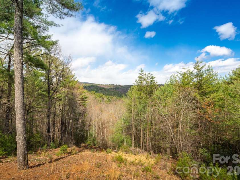 128 Deer Antler Drive, Purlear, NC 28665.  MLS# CAR4360254, YatesRealty ID 5309. View from Back Porch