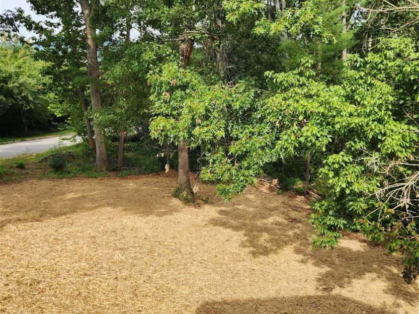 71 Hornot Circle, Asheville, NC 28806.  MLS# CAR4428572, YatesRealty ID 53141. Back yardf