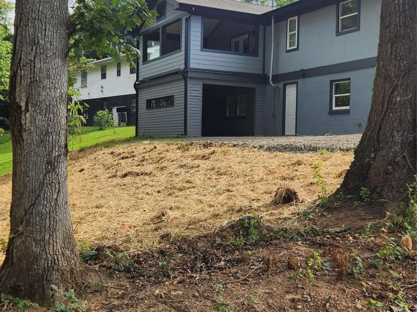 71 Hornot Circle, Asheville, NC 28806.  MLS# CAR4428572, YatesRealty ID 53141. View from wooded back yard
